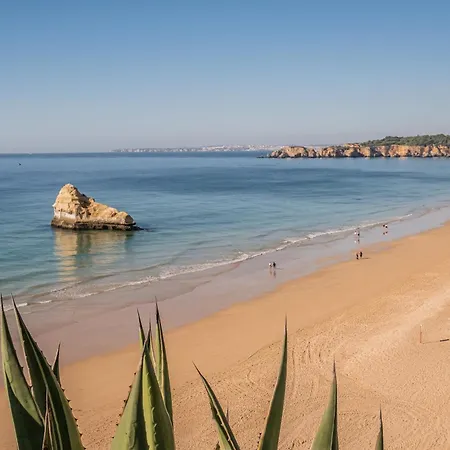 شقة Sea View 5h